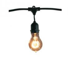 Bulbrite 810004 - 48' STRING LIGHT SET W/NOSTALGIC A19 LAMPS